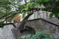 Ljaskovets Weinverkostung