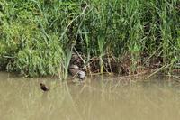 Bootsfahrt an der Kamtschija Mündung