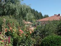 Blüten Bulgarien