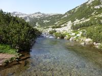 Der See 
