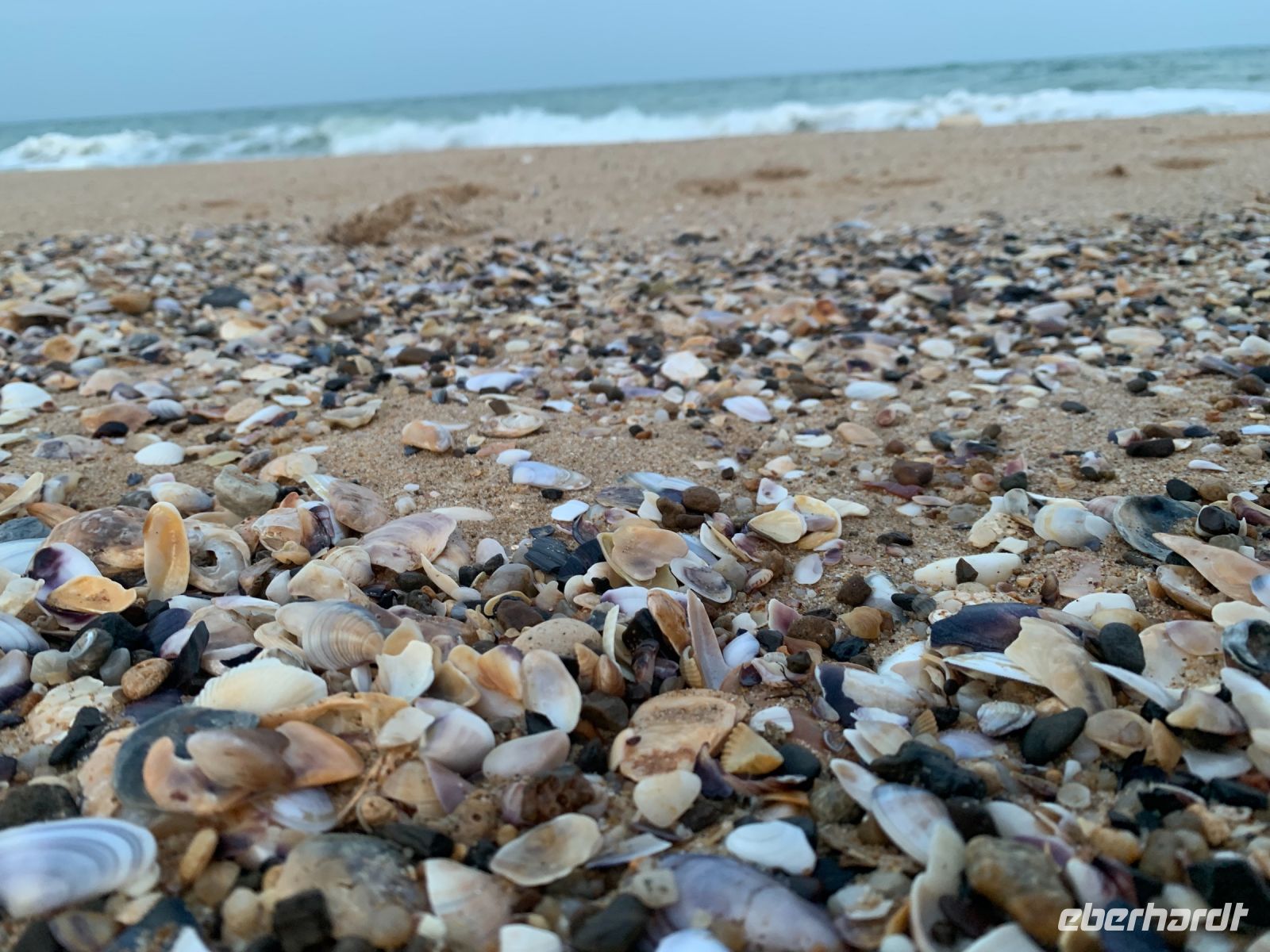 Goldstrand