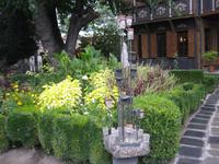 IMG_9446