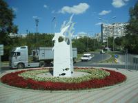 IMG_9534