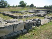 IMG_9589