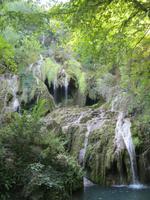 IMG_9687