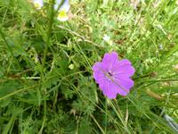 Impressionen - 