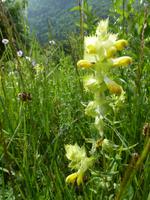 Impressionen - 
