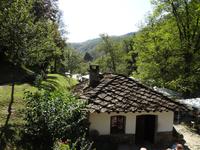 Steindach