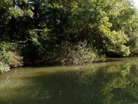 Ufer des Kamtschia - Bulgarien