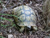 unser Wegbegleiter