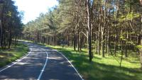  Kurische Nehrung 