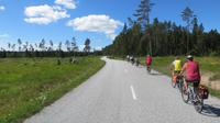Über die ruhige Insel Saaremaa per Rad...