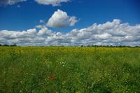 05_Siauliai (1)