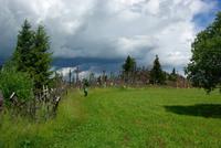 05_Siauliai_Berg_der_Kreuze (2)