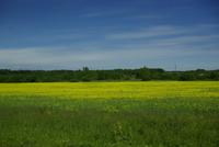 08_Estland (1)