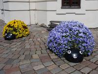 Kaunas - Deko am Rathaus