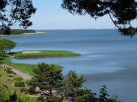 Kuhrische Nehrung - Natur pur