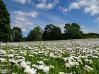 Burg Turaida - Parkgelände