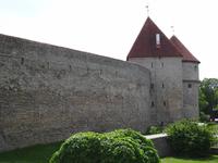 Tallinn - Stadtmauer mit Kiek in de Kök
