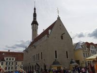 Tallinn - Rathaus