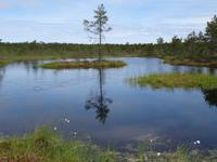 Lahemaa-Nationalpark 