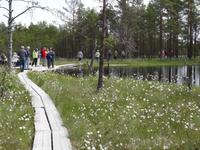 Lahemaa-Nationalpark , Reisegruppe während der Wanderung