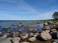 Altja - wildromantische Küste