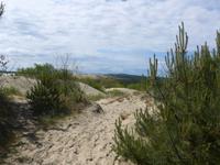 Baltikum, Kurische Nehrung