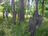 Baltikum, Kurische Nehrung, Nidden