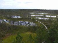 Baltikum, Estland, Laheema-NP