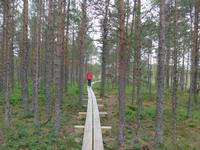 Baltikum, Estland, Laheema-NP