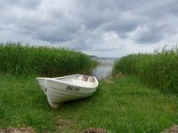 Baltikum, Estland, Altja