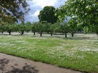 Baltikum, Estland, Laheema-NP, Gutshof Palmse