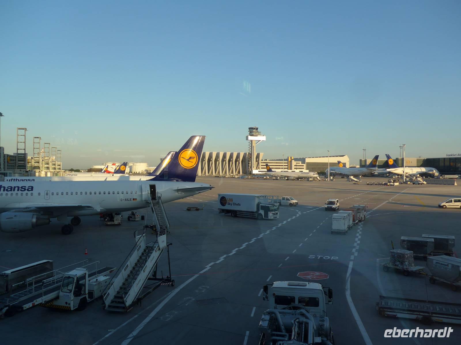 Baltikum, Flughafen Frankfurt