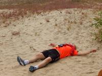 Massage von den Ameisen