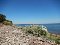 an der Küste auf Saaremaa