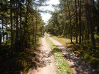 Radtour auf der Insel Saaremaa