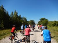Radgruppe unterwegs auf der Insel Saaremaa