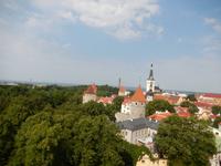 Blick auf die Unterstadt von Tallin