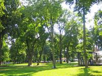 der Park am Kathedralenplatz 