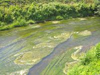 Nixenwasser in Vilnius 