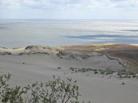 die Kurische Nehrung - Weltkulturerbe der UNESCO 