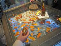 im Bernsteinmuseum von Nidden 