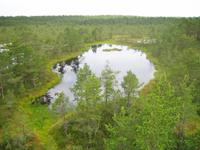 Blick vom Beobachtungsturm 