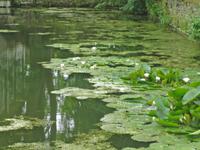 Wir genießen die Ruhe im Park. 