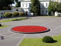 Blumen im Parlaments Hof