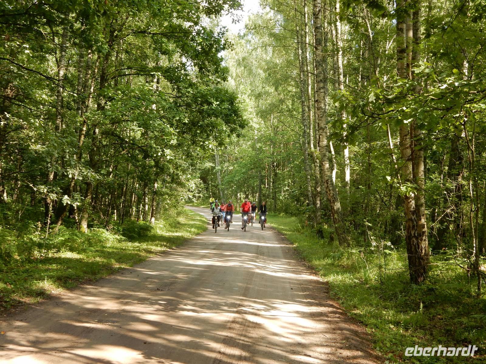 Gruppe im Wald mit Licht