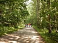 Gruppe im Wald mit Licht