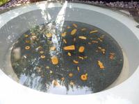 Bernsteinmuseum in Nida