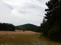 Höchste Düne auf der Kurischen Nehrung (70m Höhe)